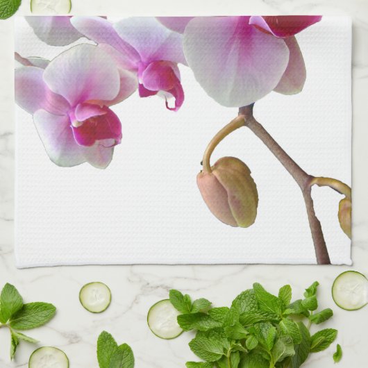 Rosa Motten-Orchideen - Phalaenopsis Handtuch (Gefaltet)