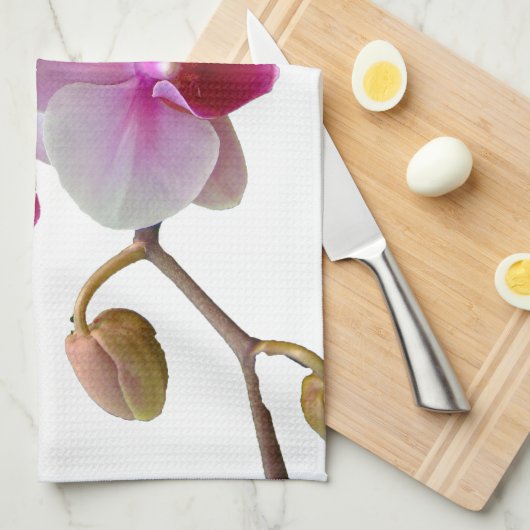 Rosa Motten-Orchideen - Phalaenopsis Handtuch (Viertel Falte)