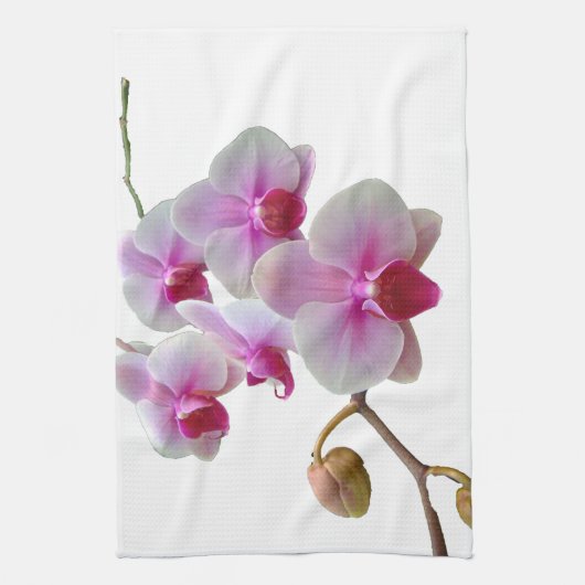 Rosa Motten-Orchideen - Phalaenopsis Handtuch (Vertikal)