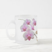 Rosa Motten-Orchideen - Phalaenopsis Mattglastasse (Links)