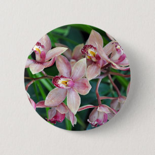 Rosa Mottenorchideen Button