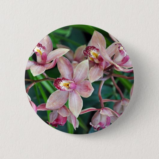 Rosa Mottenorchideen Button (Vorderseite)