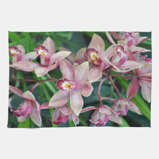 Rosa Mottenorchideen Geschirrtuch (Horizontal)