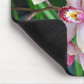 Rosa Mottenorchideen Mousepad (Ecke)