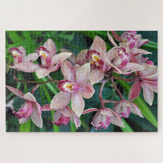 Rosa Mottenorchideen Puzzle (Horizontal)