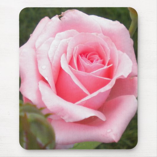 Rosa Mouse-Pad Mousepad (Vorne)