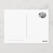 Rosa Mrs. Iris Clow Postkarte (Rückseite)