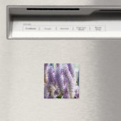 Rosa Mulla Mulla Magnet (In Situ (Geschirrspüler))