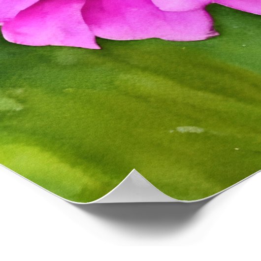 Rosa Mum Blume Wasserfarben Art Squash Poster (Ecke)