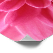 Rosa Mum Poster (Ecke)