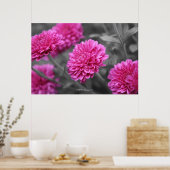 Rosa Mums Poster (Küche)