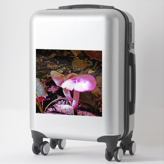 Rosa Mushroom Aufkleber (Koffer)