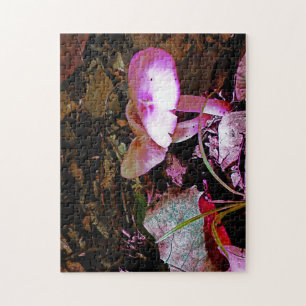 Rosa Mushroom Puzzle