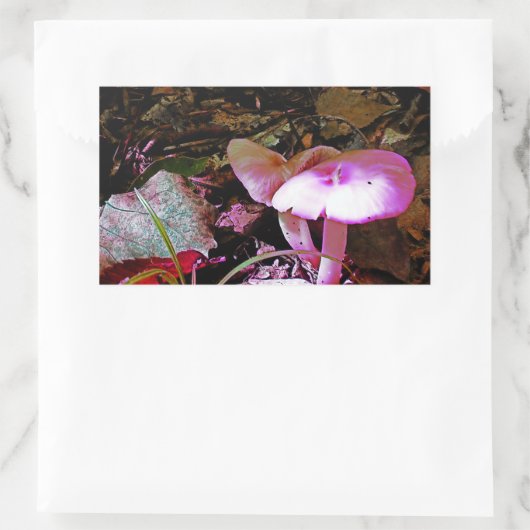 Rosa Mushroom Rechteckiger Aufkleber (Tasche)