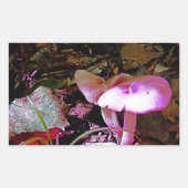 Rosa Mushroom Rechteckiger Aufkleber (Vorderseite)