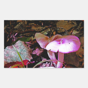 Rosa Mushroom Rechteckiger Aufkleber