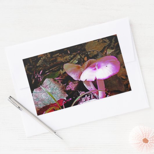 Rosa Mushroom Rechteckiger Aufkleber (Umschlag)