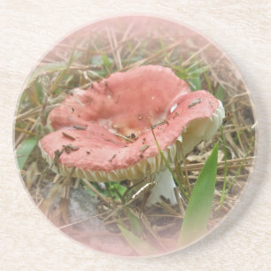 Rosa Mushroom-Untersetzer Getränkeuntersetzer