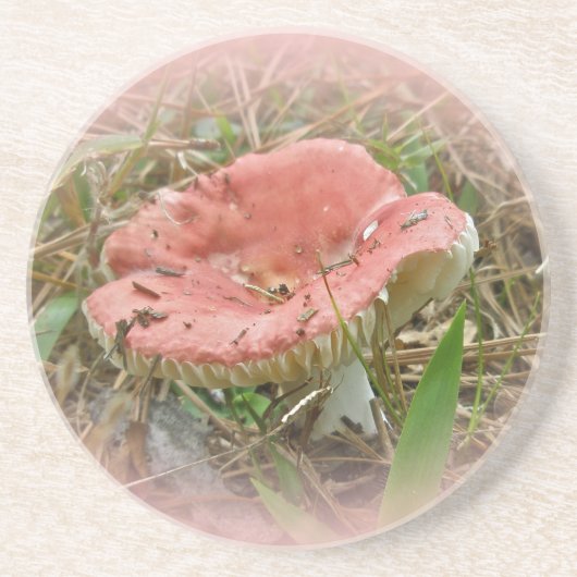 Rosa Mushroom-Untersetzer Getränkeuntersetzer (Vorne)