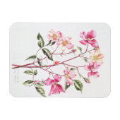 Rosa "Mutabilis" 1996 Magnet (Horizontal)
