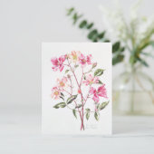 Rosa "Mutabilis" 1996 Postkarte (Stehend Vorderseite)