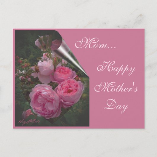 Rosa Muttertag Postkarte (Vorderseite)