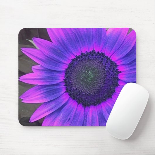 Rosa N Lila Sunflower 2 Mousepad (Mit Mouse)