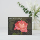 Rosa Nacht Postkarte (Stehend Vorderseite)