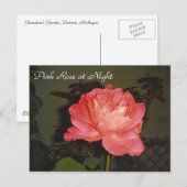 Rosa Nacht Postkarte (Vorne/Hinten)