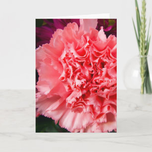 "Rosa Nelke 1." Grußkarte Karte