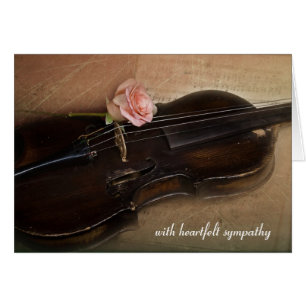 Rosa Nelke auf Violine Sympathie