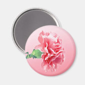 Rosa Nelke Magnet (Vorderseite/Rückseite)