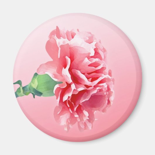 Rosa Nelke Magnet (Vorne)