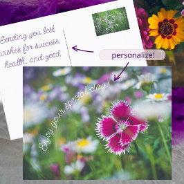 Rosa Nelke mit Gänse Feiertagspostkarte