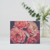 Rosa Nelken Blume Postkarte (Stehend Vorderseite)