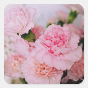 rosa Nelken Blumen im Vintage-Stil Fotografie Quadratischer Aufkleber