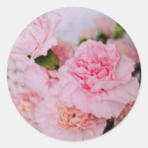 rosa Nelken Blumen im Vintage-Stil Fotografie
