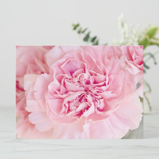 Rosa Nelken Einladung (Stehend Vorderseite)