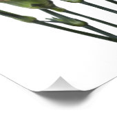 Rosa Nelken Fotodruck (Ecke)