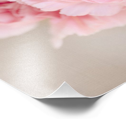 Rosa Nelken Fotodruck (Ecke)