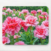 Rosa Nelken-Mauspad Mousepad (Vorne)