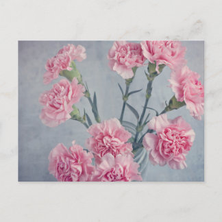 Rosa Nelken Postkarte