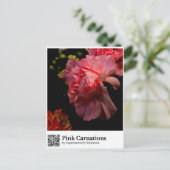 Rosa Nelken Postkarte (Stehend Vorderseite)