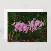 Rosa Nervenzellen Blume Postkarte (Vorne/Hinten)