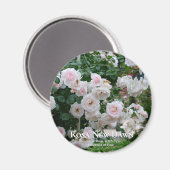 Rosa New Dawn Magnet (Vorderseite/Rückseite)