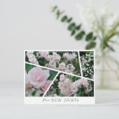 Rosa New Dawn Postkarte (Stehend Vorderseite)