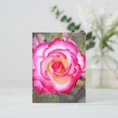 Rosa Nicole [Postkarte] Postkarte (Stehend Vorderseite)