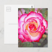 Rosa Nicole [Postkarte] Postkarte (Vorne/Hinten)
