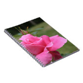 Rosa-Notizbuch Notizblock (Rechte Seite)
