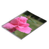 Rosa-Notizbuch Notizblock (Linke Seite)